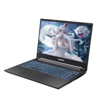 [二手95新]神舟(Hasee) 15.6寸二手笔记本电脑游戏本酷睿i7-8750 8 256G GTX1050TI