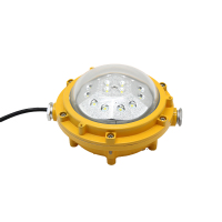 赛驰科技(SAICKG) SCK3-1001 AC220V 100W 5700K IP65平台防爆灯（单位:盏) 黄