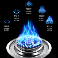 火王灶具JZY-2QJ01/B SN
