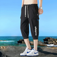 狮臣SHICHEN 2023年夏季新款男士休闲裤哈伦裤男装潮休闲七分裤男百搭男长裤宽松休闲裤男