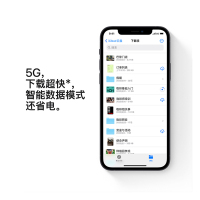 Apple iPhone 12 256G 黑色 移动联通电信5G全网通手机