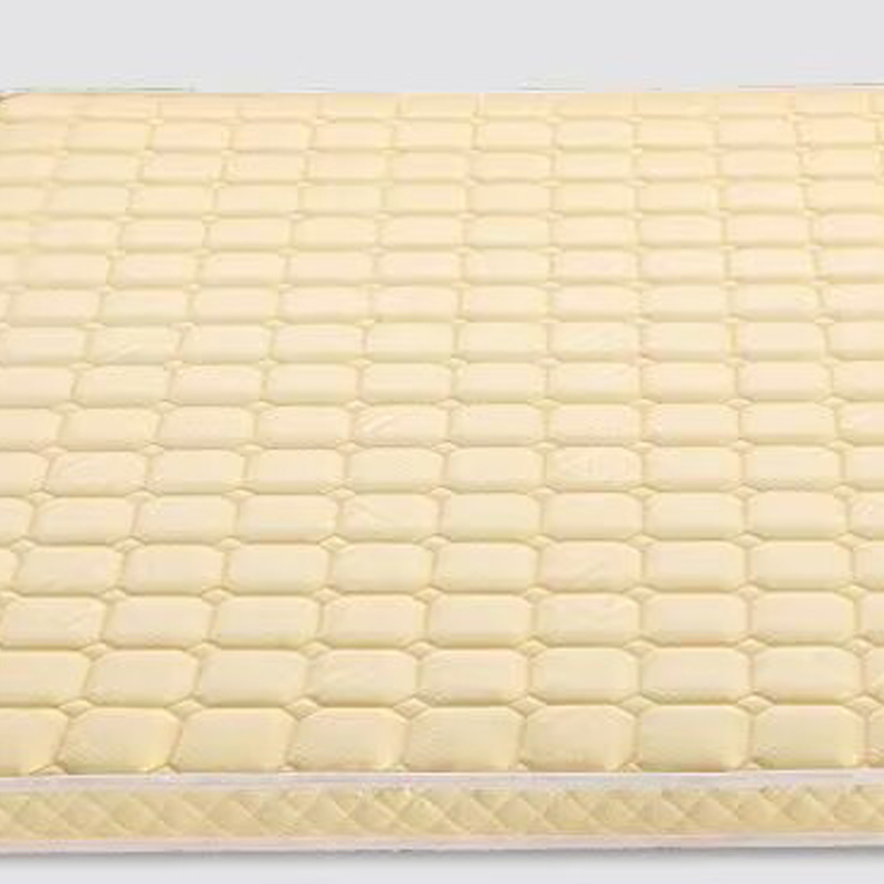 苏兴盛椰棕床垫家用棕垫D6cm高密度款(织锦面料+高密度0胶水天然椰棕)900mm*2000mm高清大图