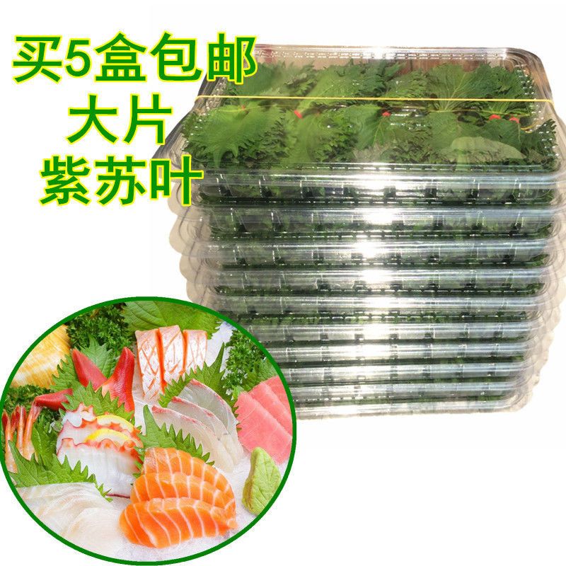 新鲜大片紫苏叶80片日本大叶苏子叶寿司料理刺身生鱼片摆盘装饰