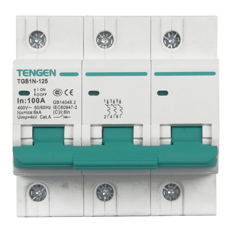 天正电气 空气开关 TGBIN-125 3P D 100A 6KA 01060280035 微型断路器