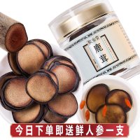 熙宝堂 鹿茸片 半蜡片10克/瓶 吉林长白山鹿茸红粉片 黄粉片 血片 泡酒材料 鹿鞭 鹿鞭片