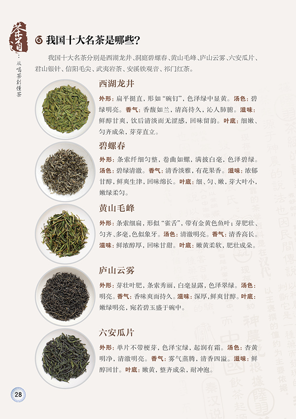 [醉染正版]茶道从喝茶到懂茶茶的书籍茶类书籍茶 书普洱茶书籍中国茶道 茶文化书茶叶书籍大全 茶道入门从入门到精通的书籍高清大图