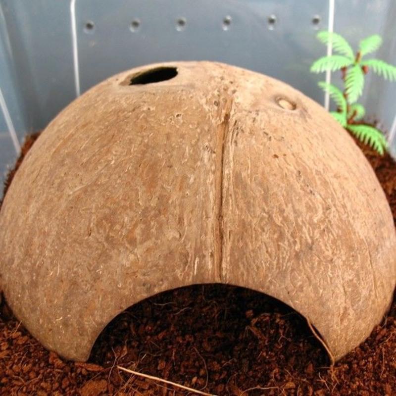 小号1个+圆水盆1个 宠物爬虫饲养盒带景蜘蛛守宫蛇蜥蜴蝎子蜈蚣饲养箱大中小号套装