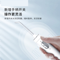洁碧(Waterpik)冲牙器台式水牙线洗牙器多支专用喷头 正畸适用 全家用适用台式冲牙器 珍珠白 GT1-11