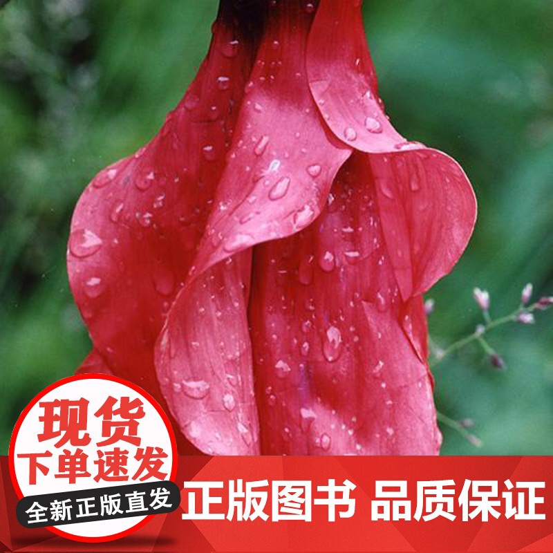 中国常见植物野外识别手册.青海册 马克平 刘冰 丛书主编 吴玉虎 本册主编 商务印书馆高清大图