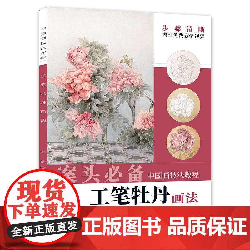 中国画技法教程——工笔牡丹画法高清大图