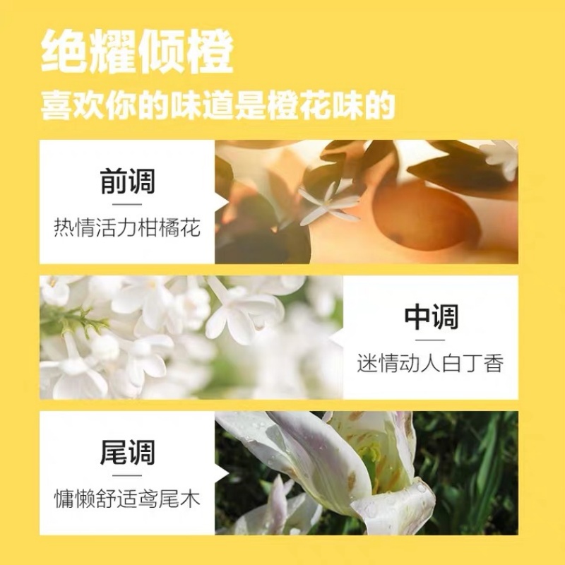 柏缇 山姜洗发露650ml(TT)高清大图