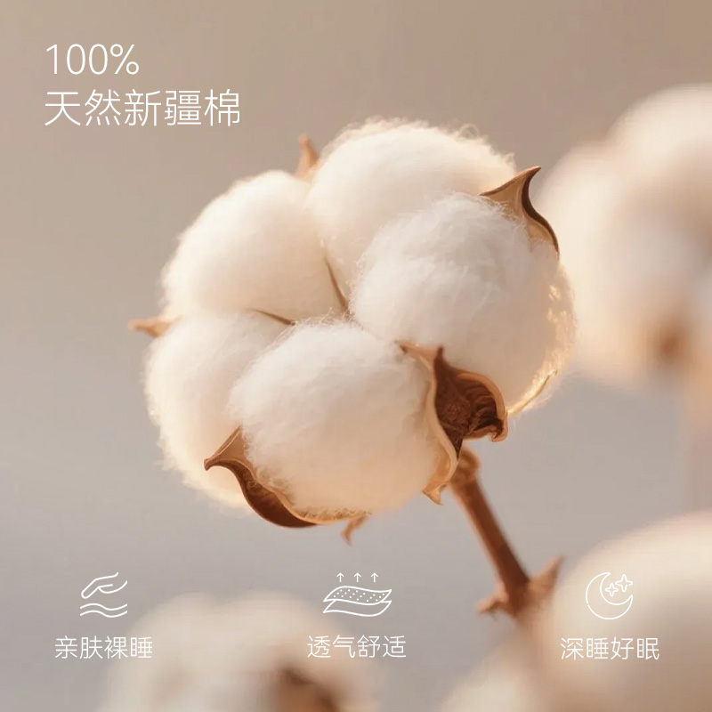 洁玉(Jeyu) 纯棉贡缎高支高密活性印花四件套 JY26102C-1 佩斯利秘境-米色 220cmx240cm高清大图