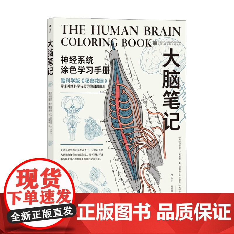 大脑笔记 玛丽安·C.戴蒙德等 著 充分激发灵感和创造力 调动学习和配色的潜能 纾解压力 科普读物高清大图