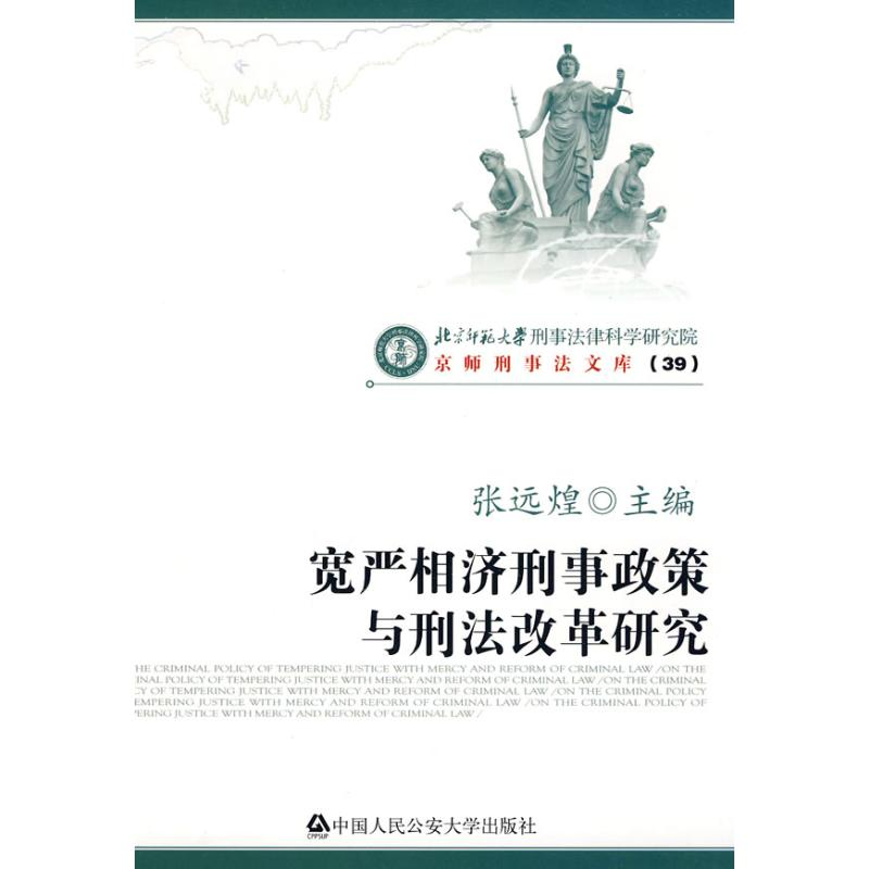音像宽严相济刑事政策与刑法改革研究/京师刑事法文库39张远煌
