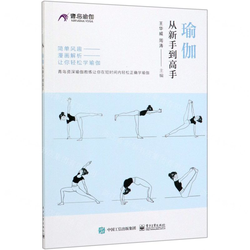 [N]瑜伽从新手到高手-9787121378416高清大图