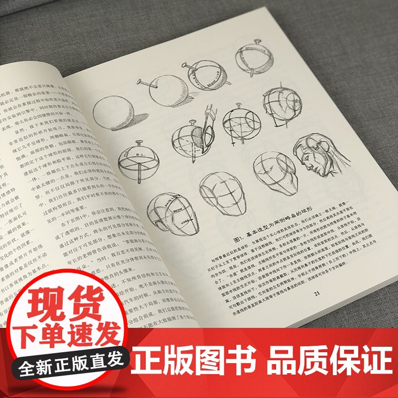 头手素描 路米斯经典美术课 头与手的素描绘画步骤详解教学 人体各阶段头部表情素描画手结构手绘初学零基础入门精通教程 路米高清大图