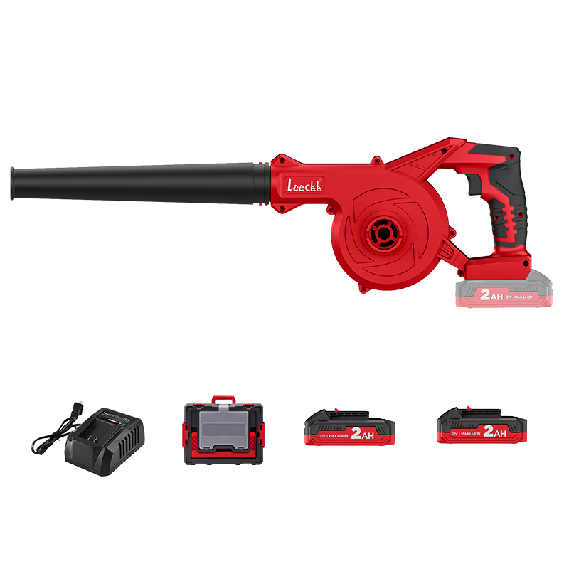 Leecbb 锂电吹风机 L700 台