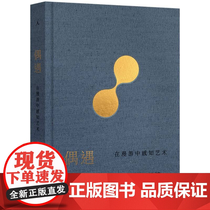 偶遇:在漫游中感知艺术 巫鸿 著 12组案例 艺术思考 谈论艺术 巫鸿与陆智昌倾力合作 纸书的另一种阅读方式 理想国高清大图