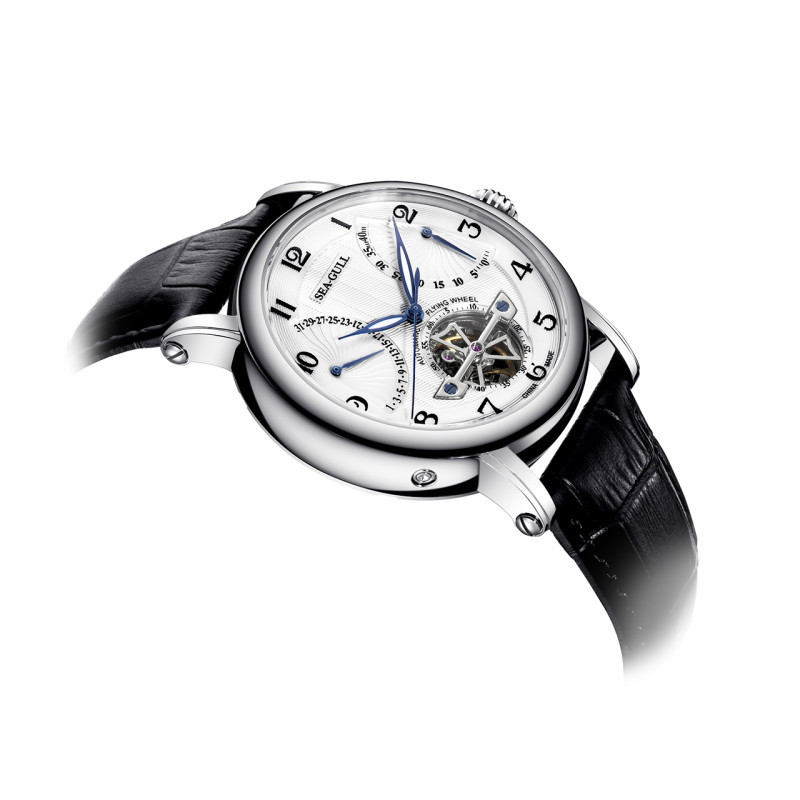 海鸥表(SEAGULL)手表 运动休闲机械表 男表 飞轮系列自动机械 男士手表 819.317高清大图