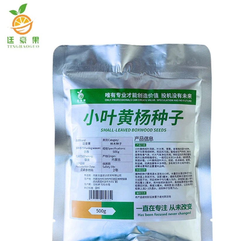 廷豪果 小叶黄杨种子 一级优质种子 500g/斤高清大图