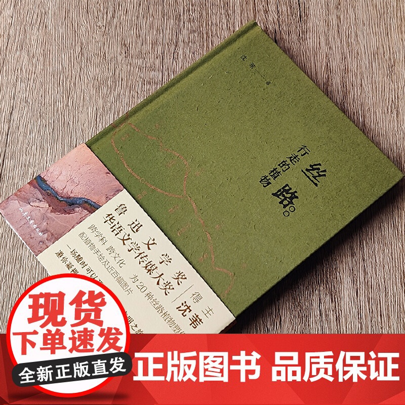 [正版]丝路:行走的植物(入选“中国好书”2023年8月榜单) 沈苇 山东文艺出版社 正版书籍高清大图