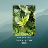 星池妙茶觉巾帼英红国家地理标志产品英红九号英德红茶有机春茶浓郁花香始于1959年皇家茶可做奶茶底出口红茶叶80g