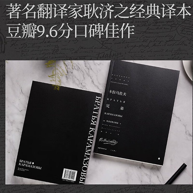 山河 《卡拉马佐夫兄弟》[俄]陀思妥耶夫斯基 著 耿济之 译 世界名著 外国文学