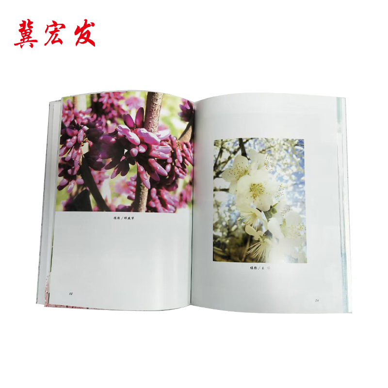 资料 书册 单页 JHF-021高清大图