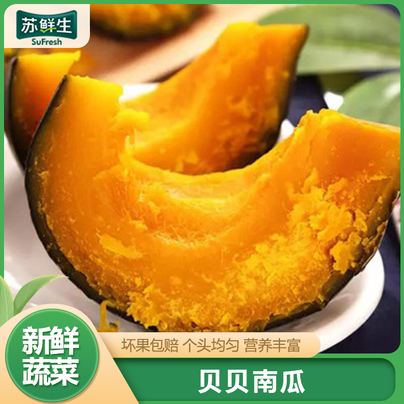 [苏鲜生]山东新鲜贝贝小南瓜 新鲜蔬菜 净重3斤 新鲜采摘 软糯香甜