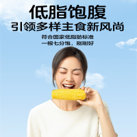 十月稻田黄糯玉米 3.52斤(220g*8根) 东北玉米棒甜糯低脂新鲜真空装早餐苞米