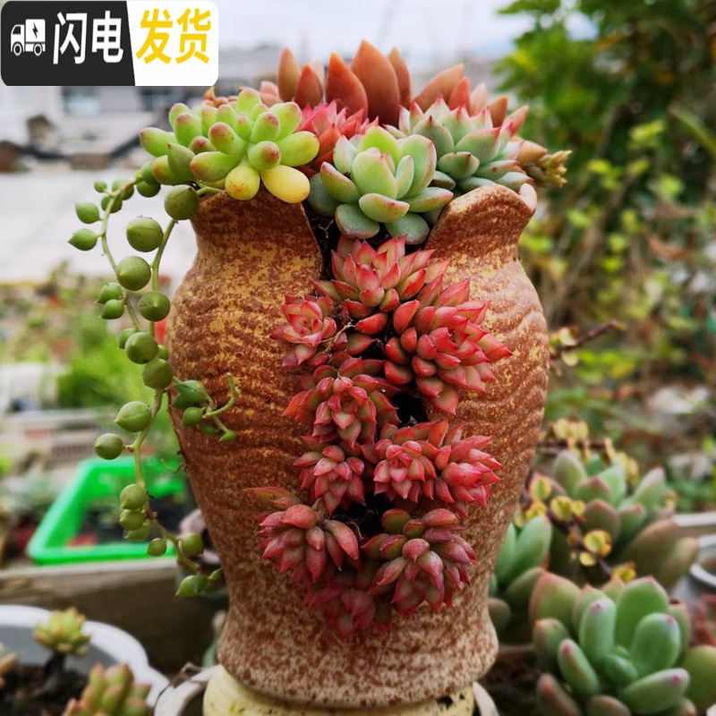 三维工匠复古创意个性多肉悬崖老桩高花盆缺口造型控型盆陶瓷绿植老庄花器 浅蓝创意盆不含花 中等花盆容器高清大图