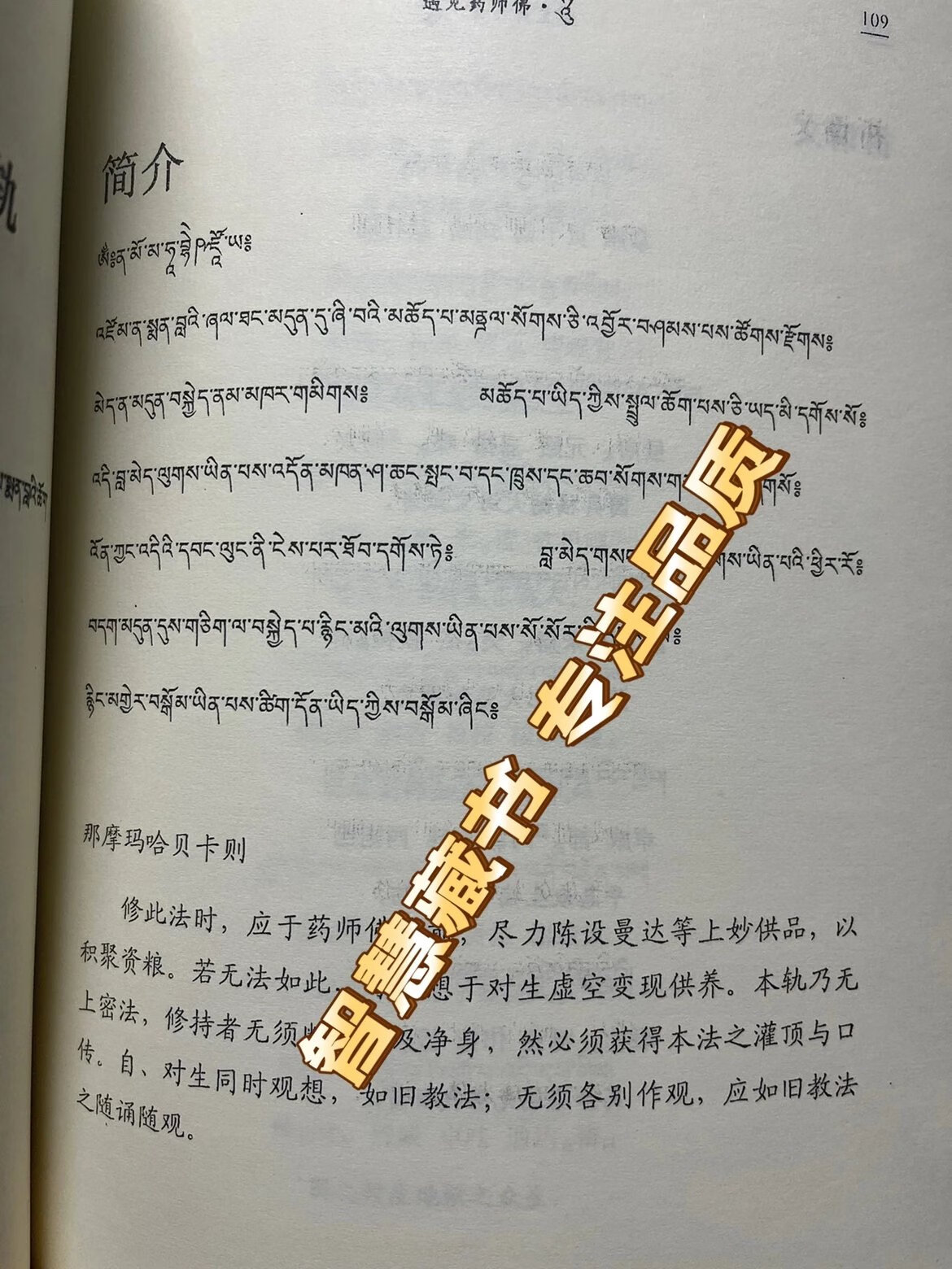遇见药师佛 16开本 创古仁波切 **延寿之无价修持 大宝法王和佩玛邱卓联合推荐高清大图
