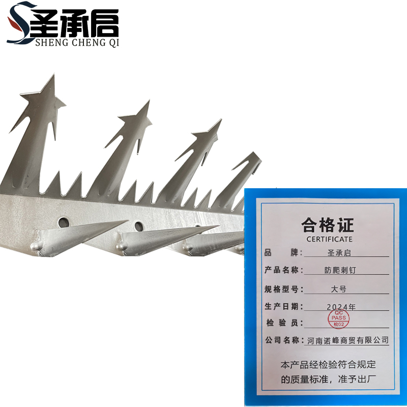 圣承启 防爬倒刺 大号根高清大图