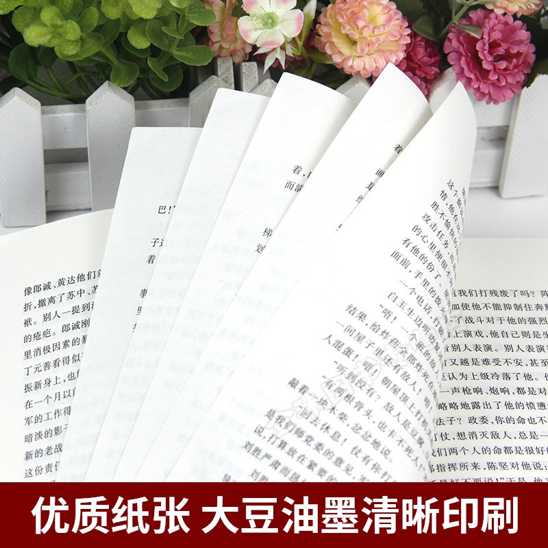 [正版]红日书籍 吴强著 中国青年出版社 初高中小学生青少年六七年级必读课外阅读 成长励志现当代青春文学革命小说素质教高清大图