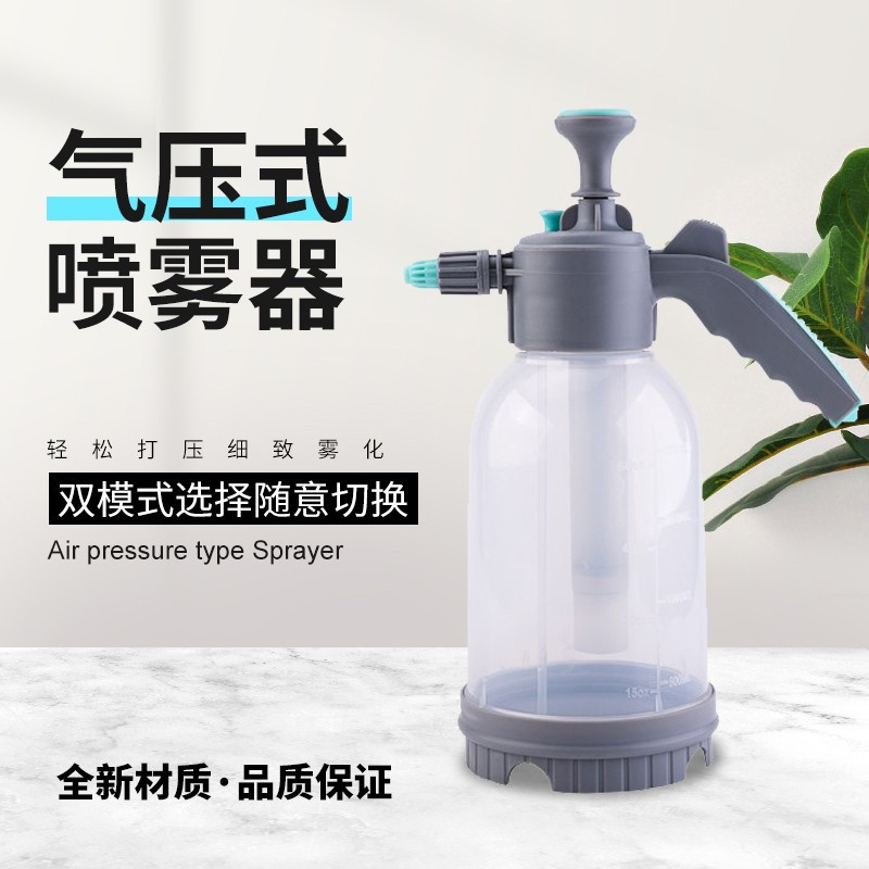DYINUO 喷壶2L 个
