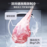 BCD-605WKPZM(E) 炭灰-浮光