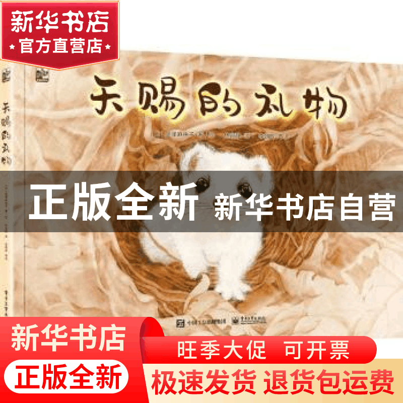 正版 天赐的礼物 [日]金泽麻由子 电子工业出版社 9787121339356图片