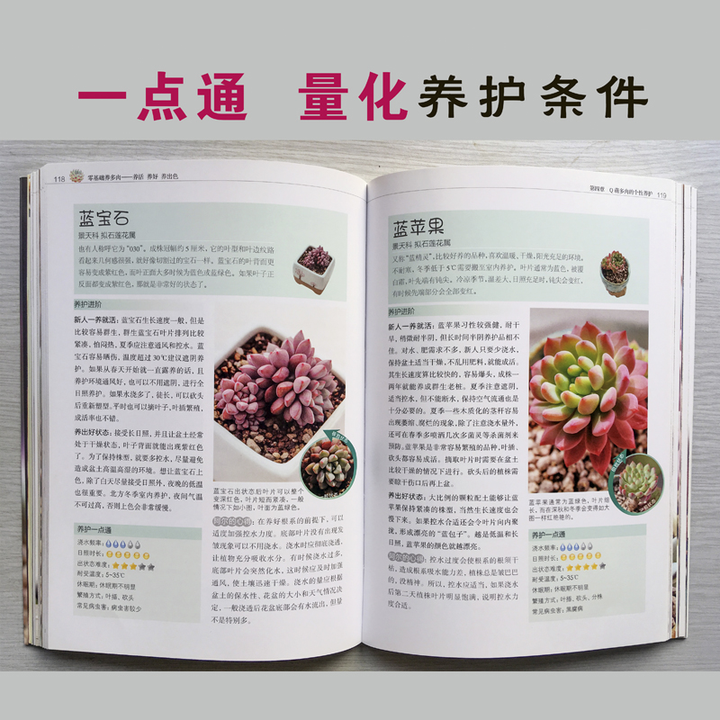[醉染正版]零基础养多肉(300余张多肉美图学养肉)多肉养殖书籍 多肉书 养花书籍花卉养殖书籍 多肉种植教程 多肉书籍江高清大图