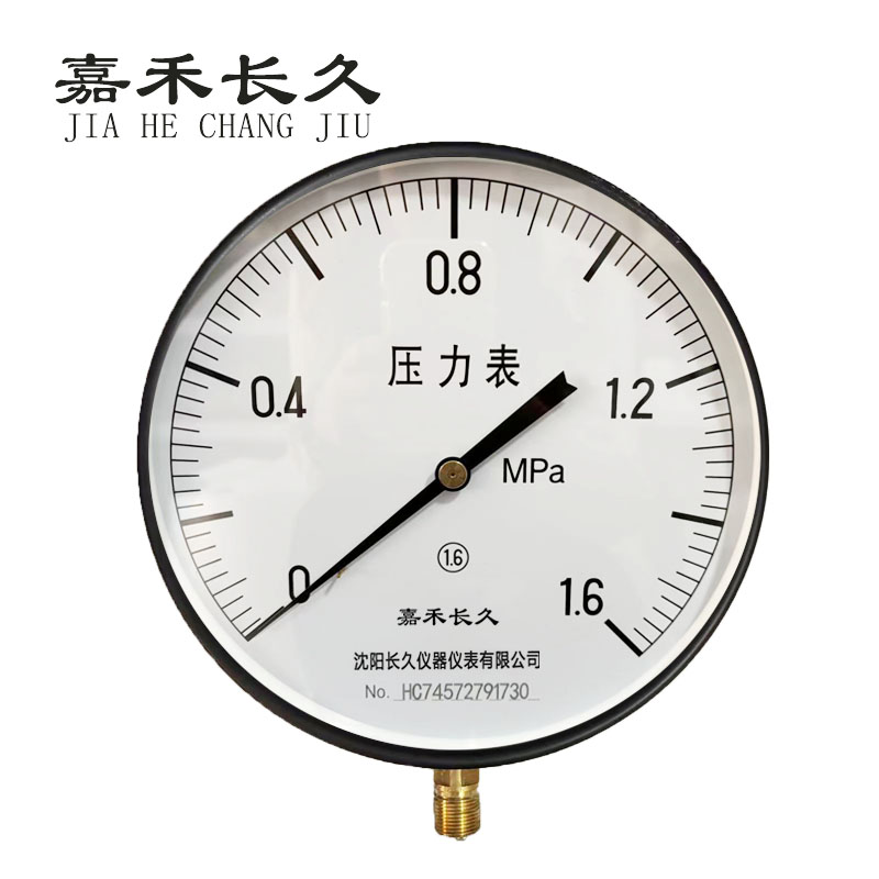 嘉禾长久+压力表检测定制型+Y250+块 1.6Mpa