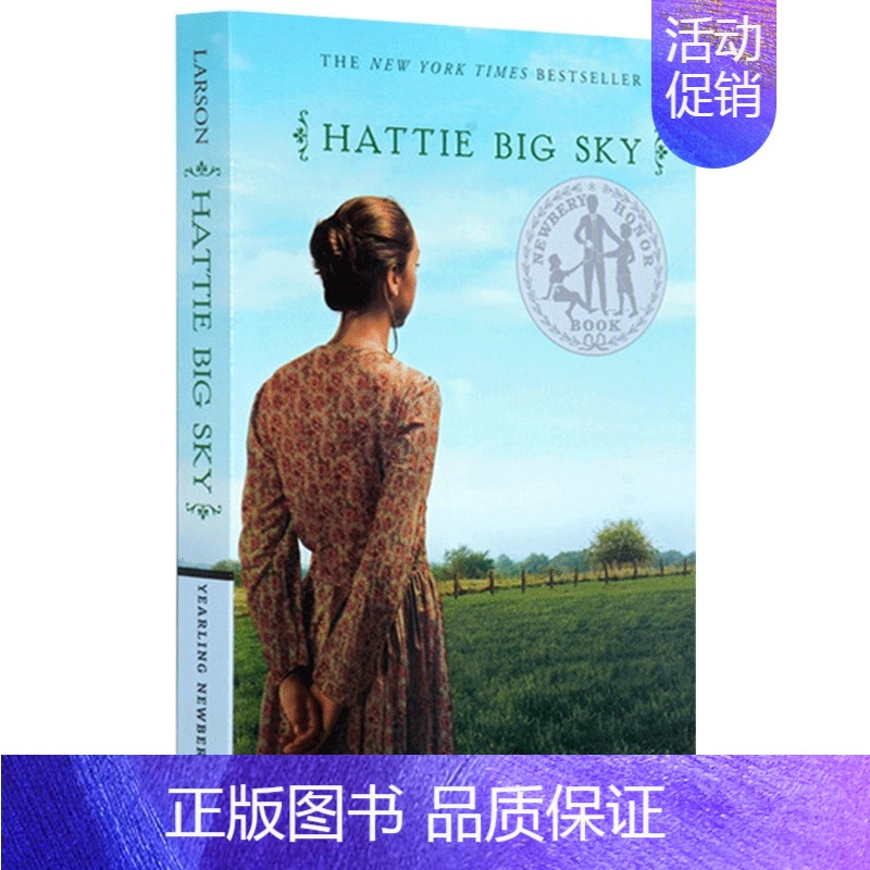 海蒂的天空 [正版]手斧男孩5册全套 英文原版 Hatchet1-5 纽伯瑞奖 国际安徒生儿童文学奖 课外成长励志故事读