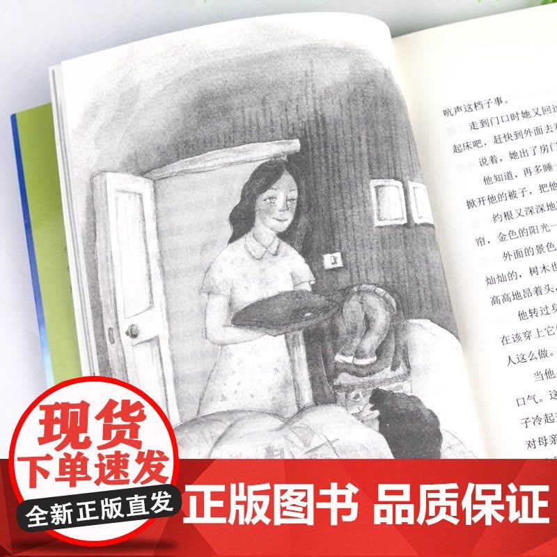 总有一天会长大 夏洛书屋 经典版梅子涵 外国儿童文学经典童话故事 6-8-10-12-15岁青少年中小学生课外读物书籍上图片