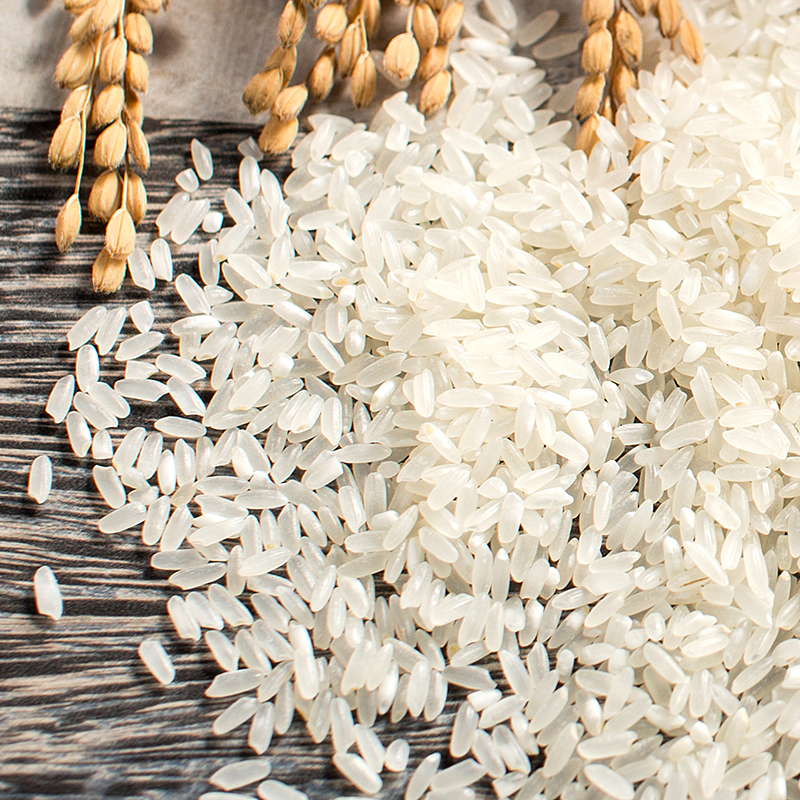 秋香禾推荐商博士有机五常大米5kg袋装直供优质口感高清大图