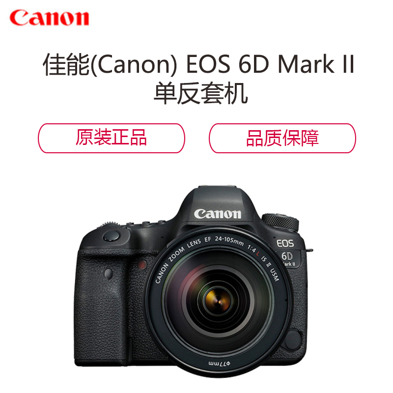 佳能(Canon) 6D2 单反相机全画幅(EF 24-105mm f/4L IS II USM 单反镜头)套装