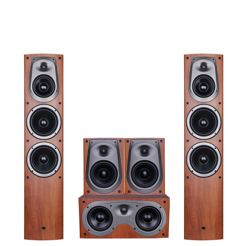 Hivi/惠威 D500 5.1+RX-V4A家庭影院家用客厅音响套装木质音箱