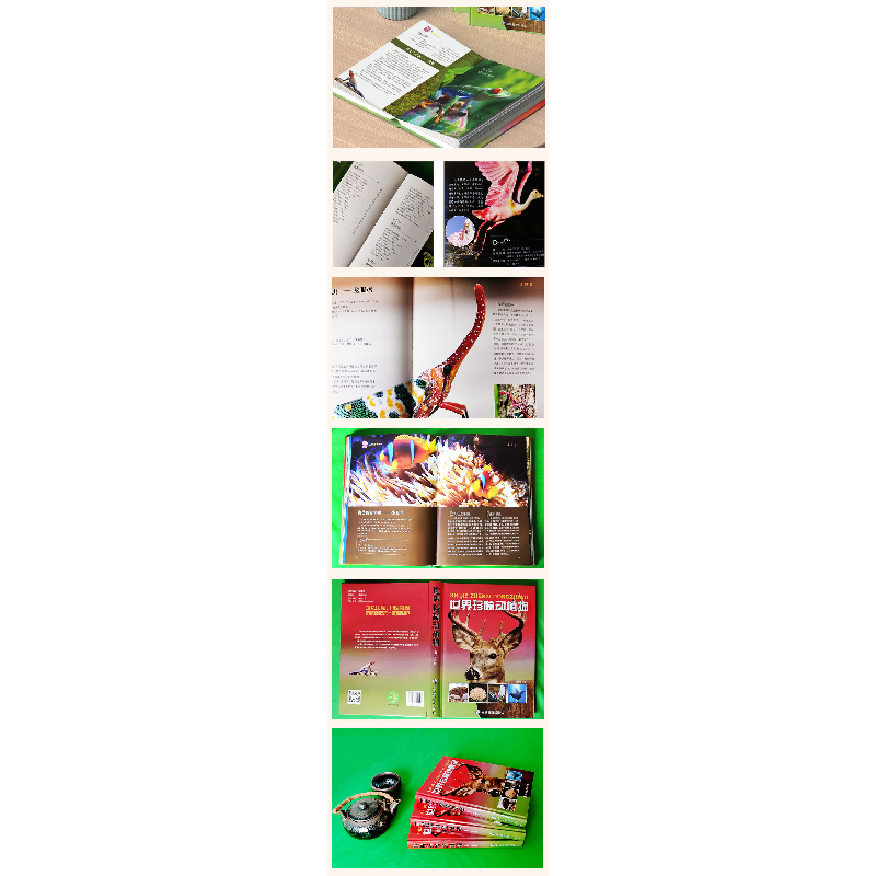 正版新书]世界珍稀动植物孙祥盛9787502092498高清大图