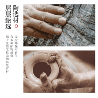 荣事达(Royalstar)砂锅炖锅家用2.6L陶瓷煲仔饭汤煲耐高温一盖多用沙锅瓦煲汤锅燃气明火适用RA182223