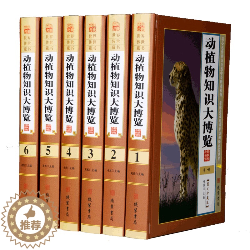 【醉染正版】正版科普知识大博览 图文版精装全6册16开 河外星系 神秘的黑洞 科普知识问与答 巡游火星 太阳