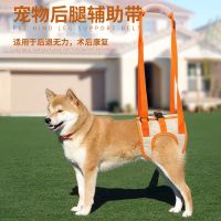 宠物后腿助力器步行走路助力辅助带高龄犬狗狗辅助带残疾犬助力带 橙色 S
