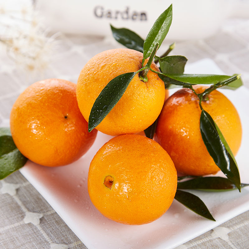 湖北秭归伦晚正宗脐橙不怕晚甜橙新鲜水果当季水果手剥橙产地直发高清大图