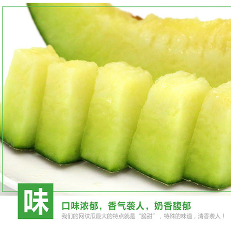 卜任舒 玫珑瓜约7.0kg(包装随机发货)高清大图